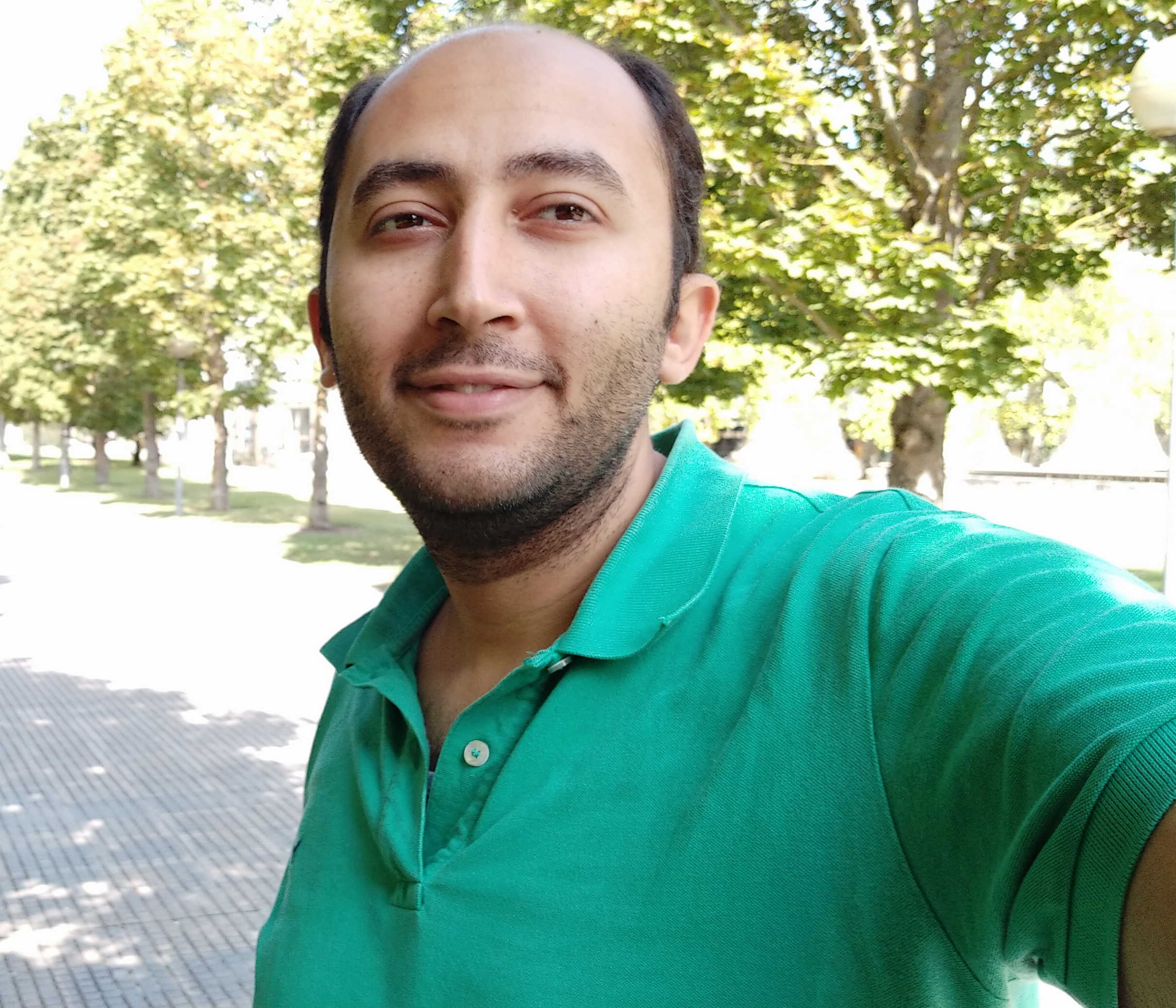 Walid A. Hanafy